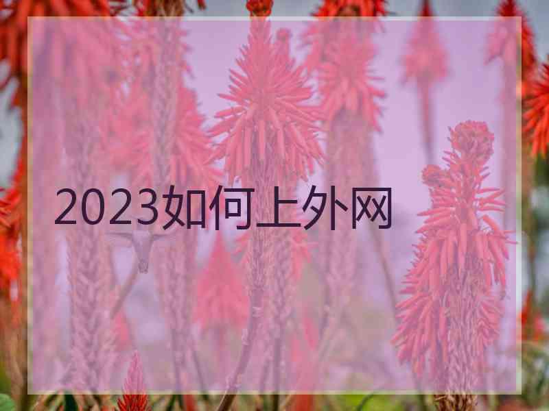 2023如何上外网