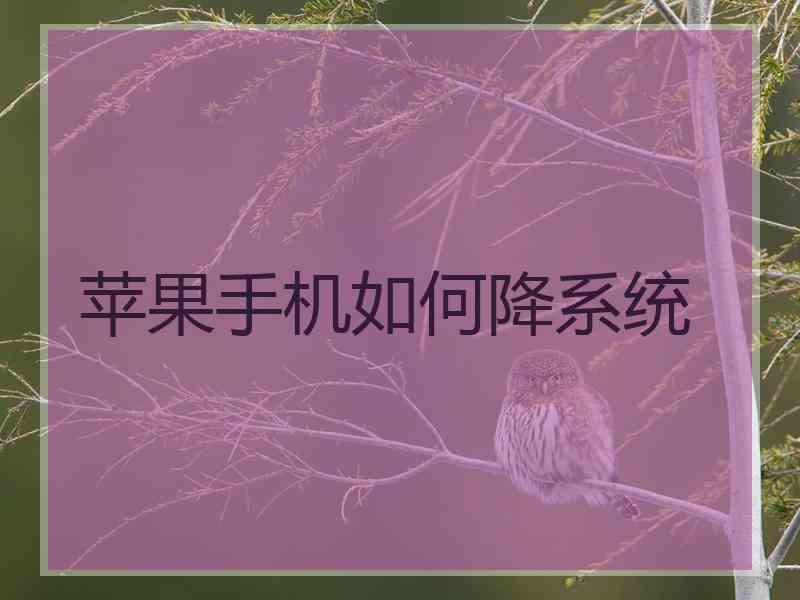 苹果手机如何降系统