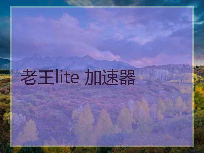 老王lite 加速器