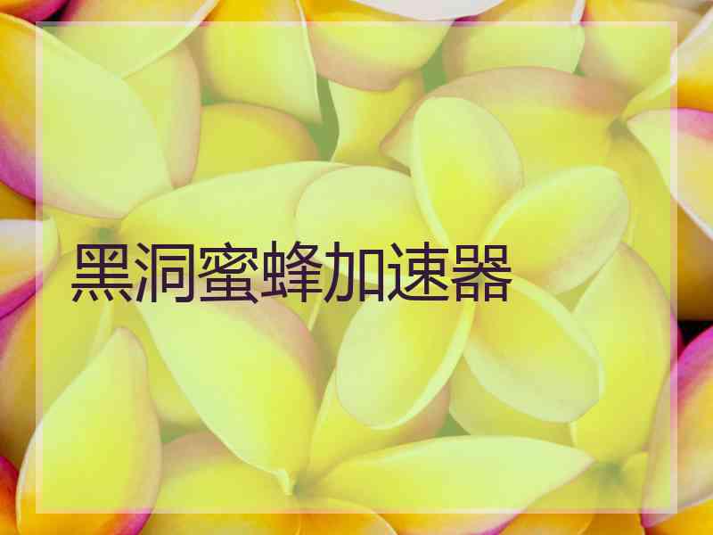 黑洞蜜蜂加速器