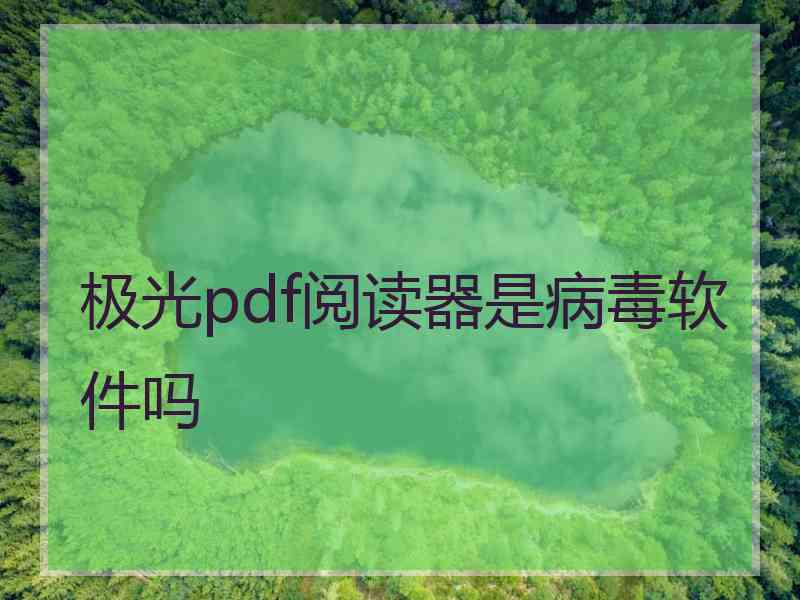 极光pdf阅读器是病毒软件吗