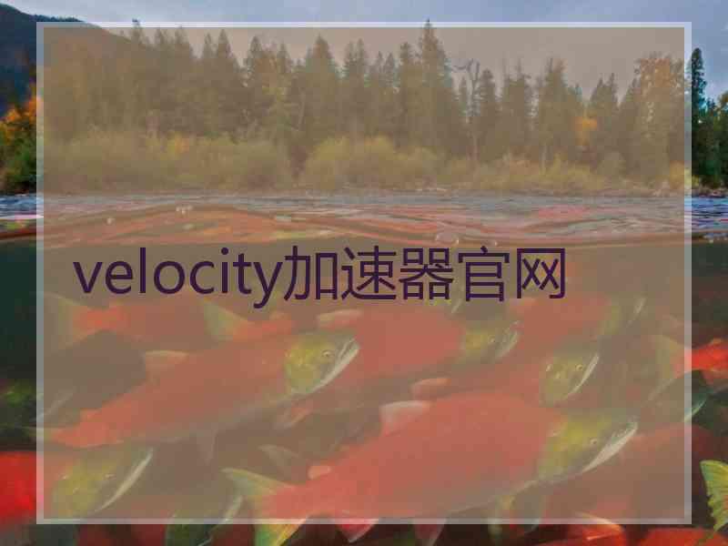 velocity加速器官网