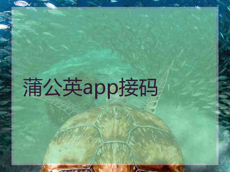 蒲公英app接码