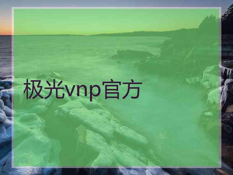 极光vnp官方