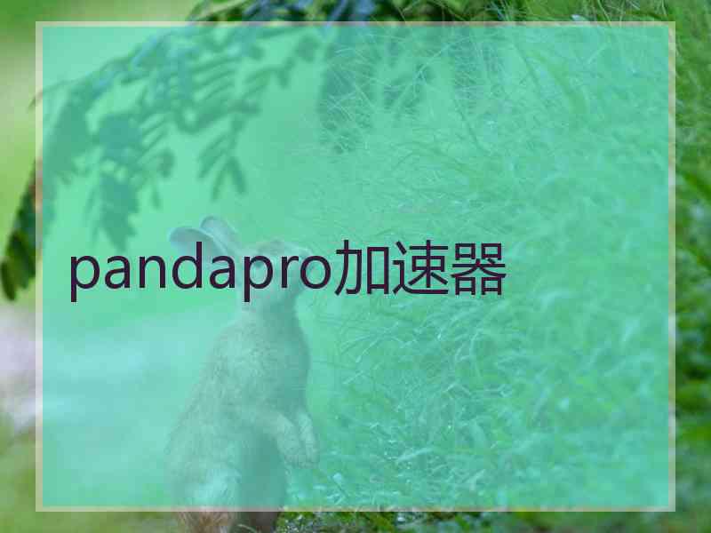 pandapro加速器