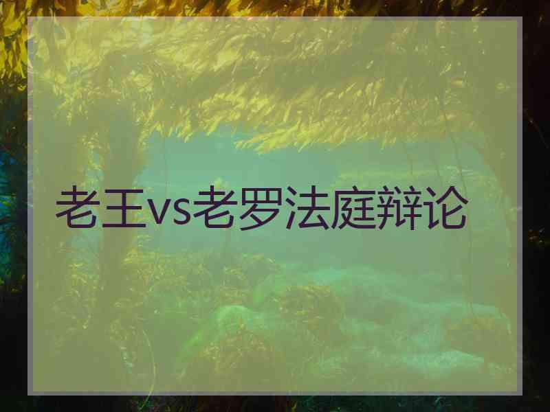 老王vs老罗法庭辩论