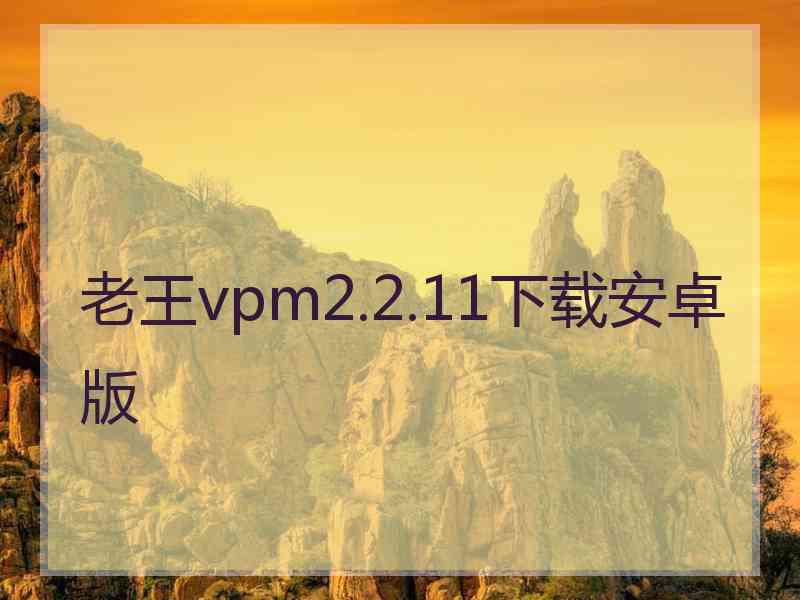 老王vpm2.2.11下载安卓版