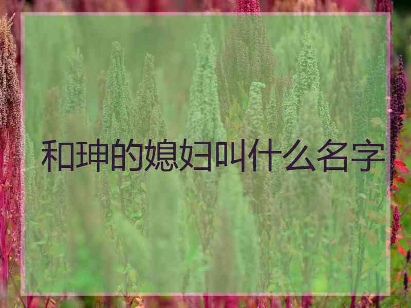 和珅的媳妇叫什么名字