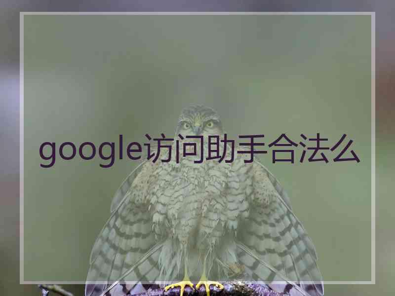 google访问助手合法么