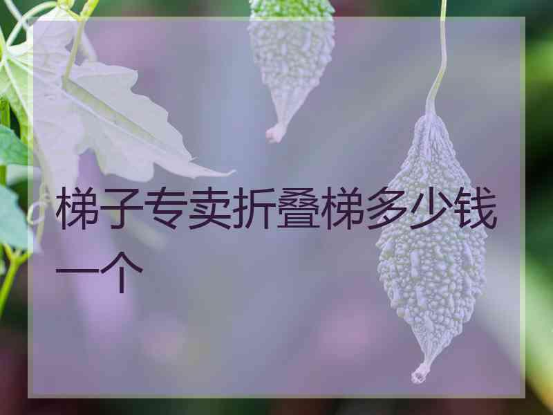 梯子专卖折叠梯多少钱一个