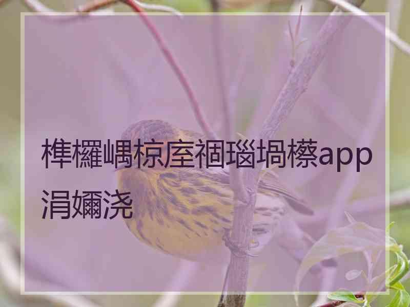 榫欏嵎椋庢祻瑙堝櫒app涓嬭浇