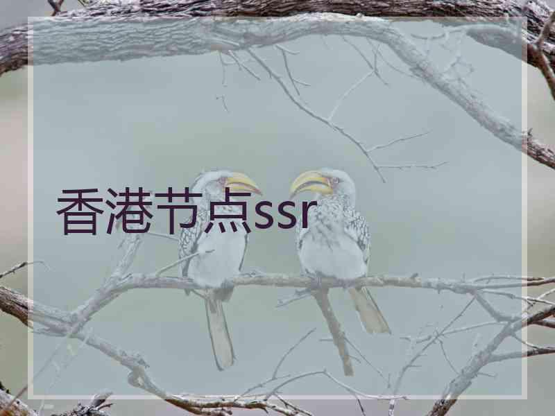 香港节点ssr