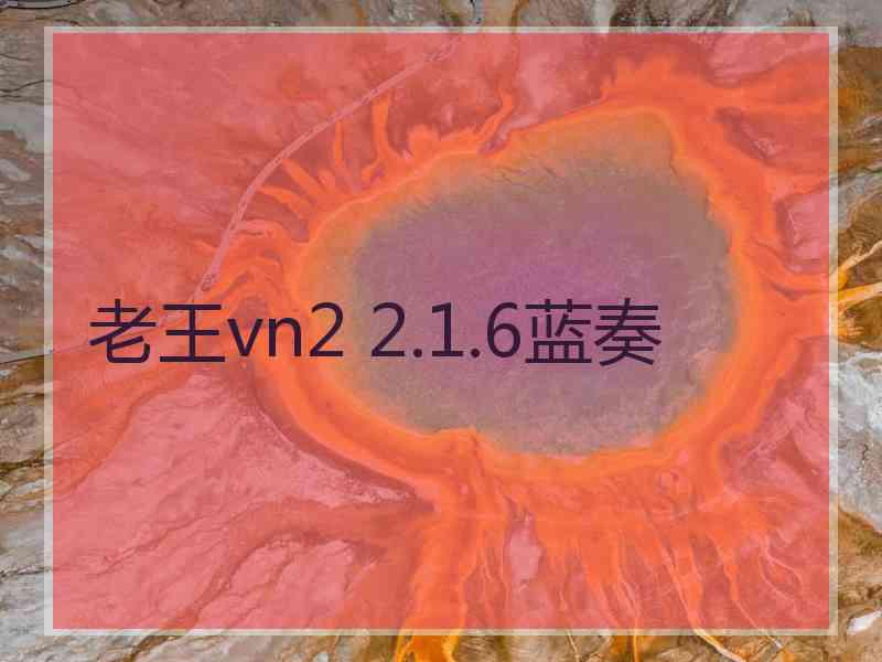 老王vn2 2.1.6蓝奏