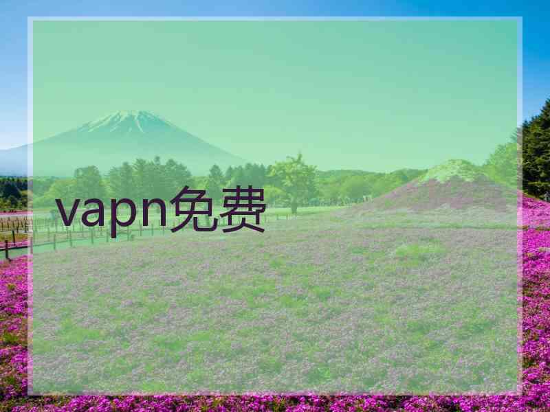 vapn免费