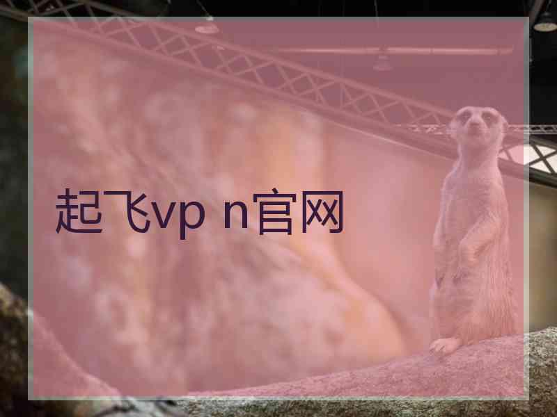 起飞vp n官网