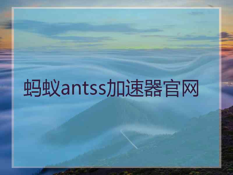 蚂蚁antss加速器官网