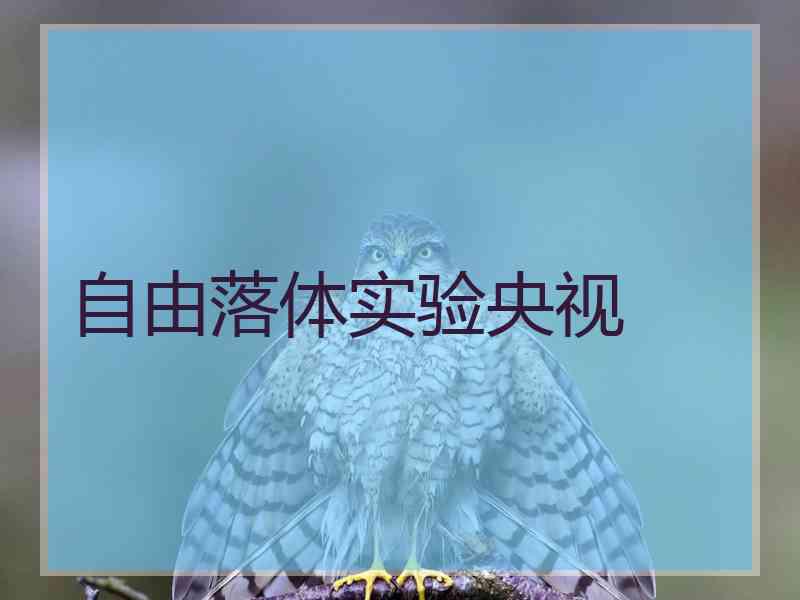 自由落体实验央视