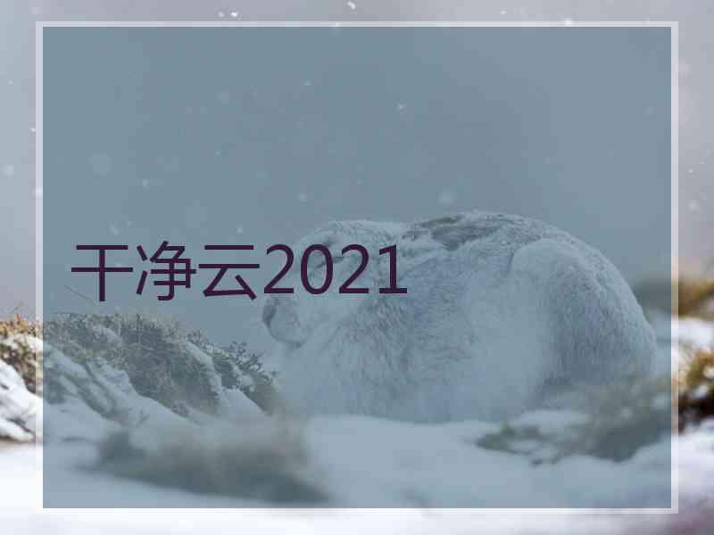 干净云2021