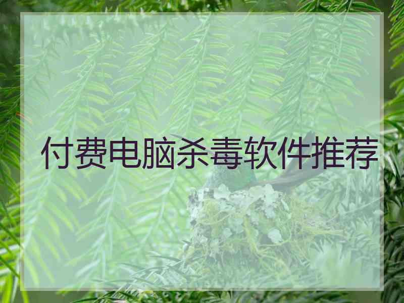 付费电脑杀毒软件推荐