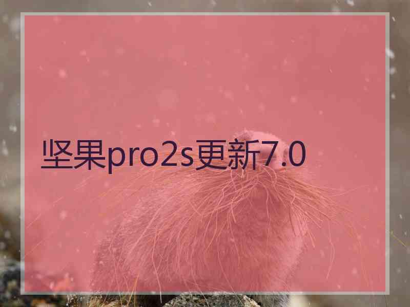 坚果pro2s更新7.0