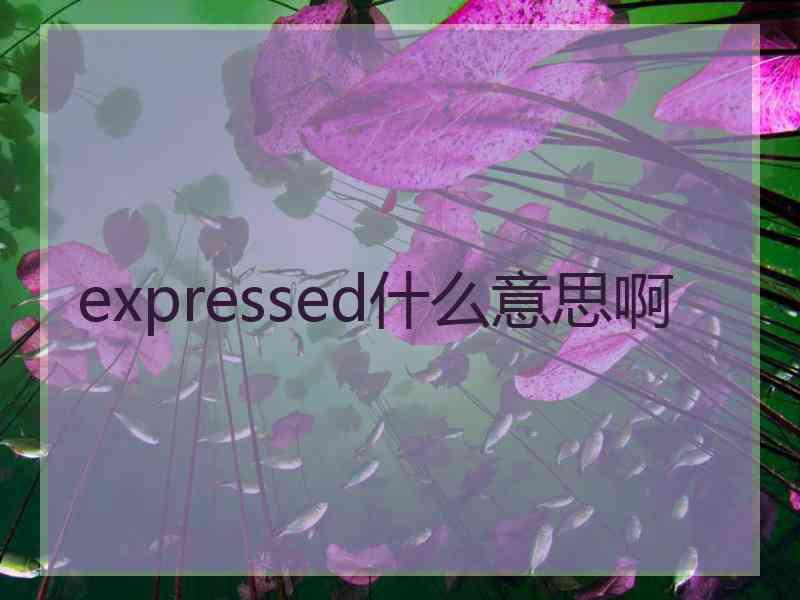 expressed什么意思啊