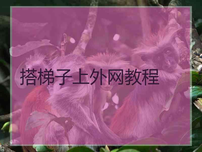 搭梯子上外网教程