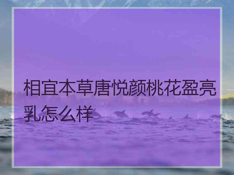 相宜本草唐悦颜桃花盈亮乳怎么样