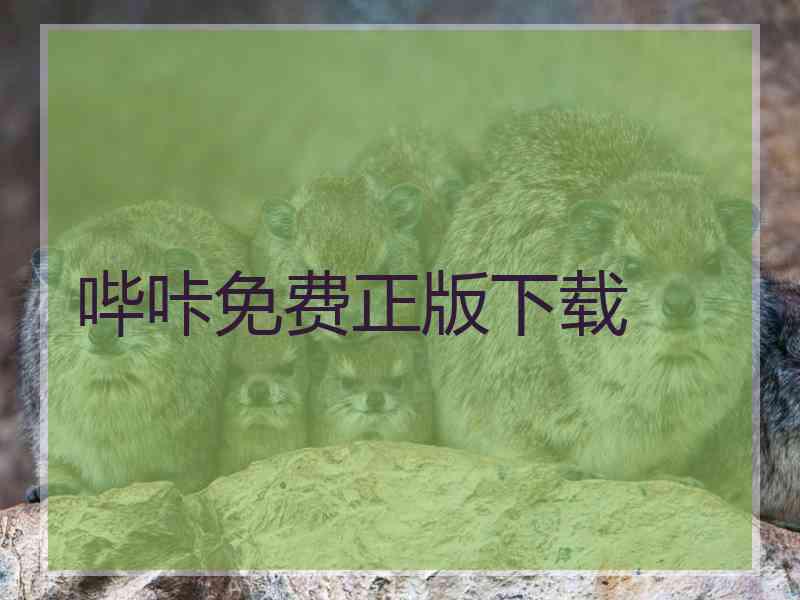 哔咔免费正版下载