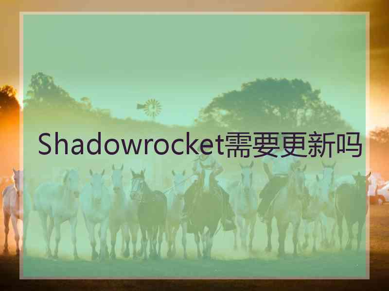 Shadowrocket需要更新吗