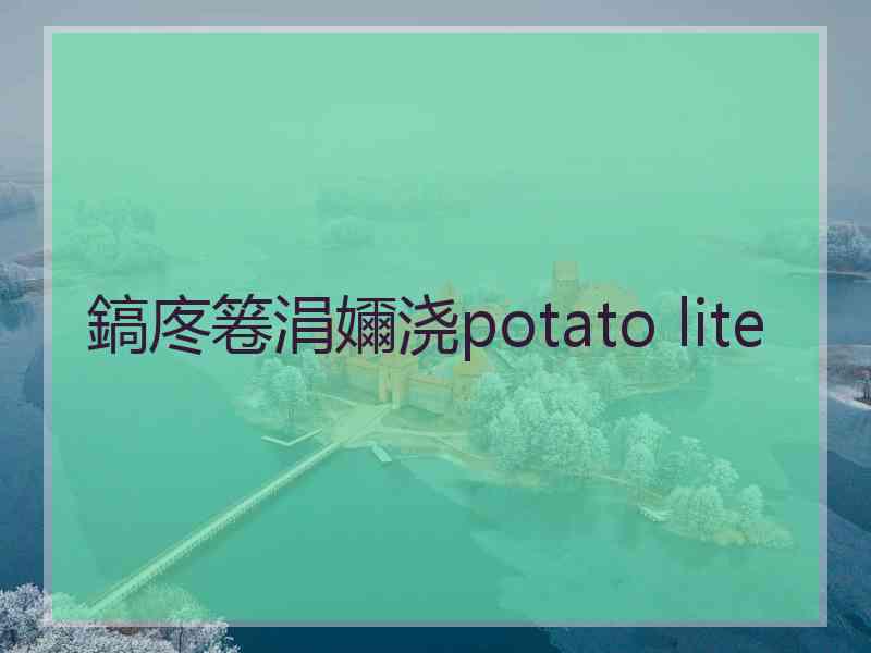 鎬庝箞涓嬭浇potato lite