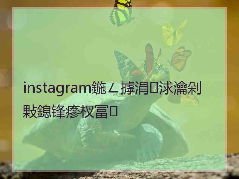 instagram鍦ㄥ摢涓浗瀹剁敤鎴锋瘮杈冨