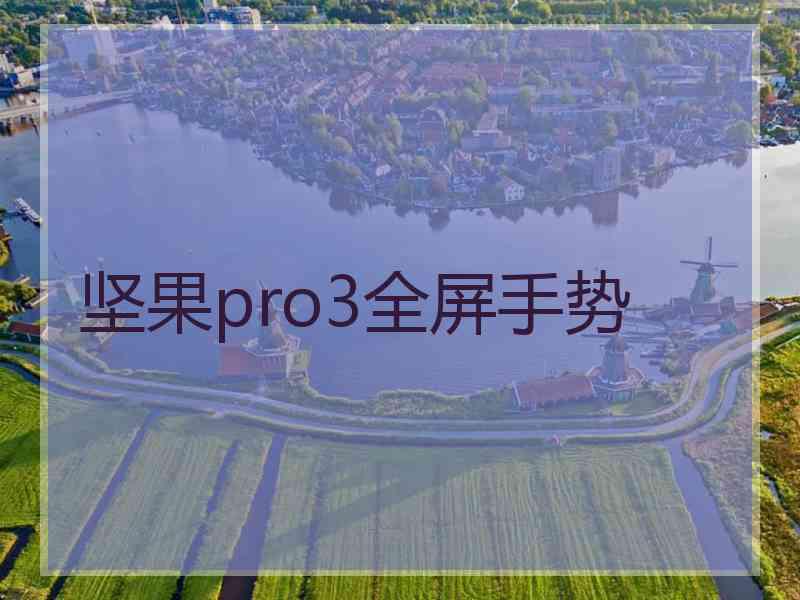 坚果pro3全屏手势