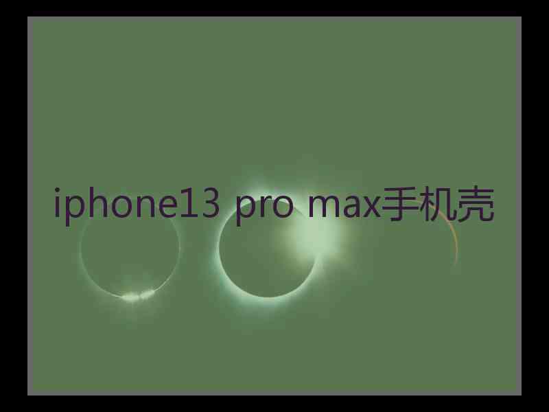 iphone13 pro max手机壳