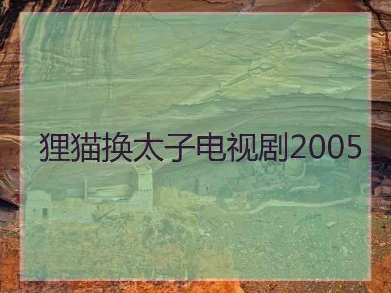 狸猫换太子电视剧2005