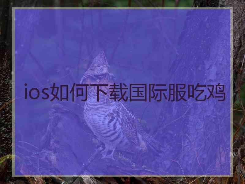 ios如何下载国际服吃鸡