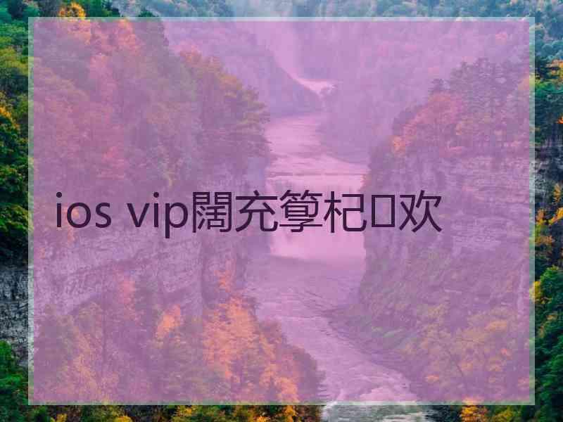 ios vip闊充箰杞欢