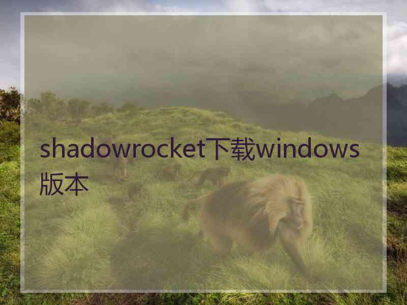 shadowrocket下载windows版本