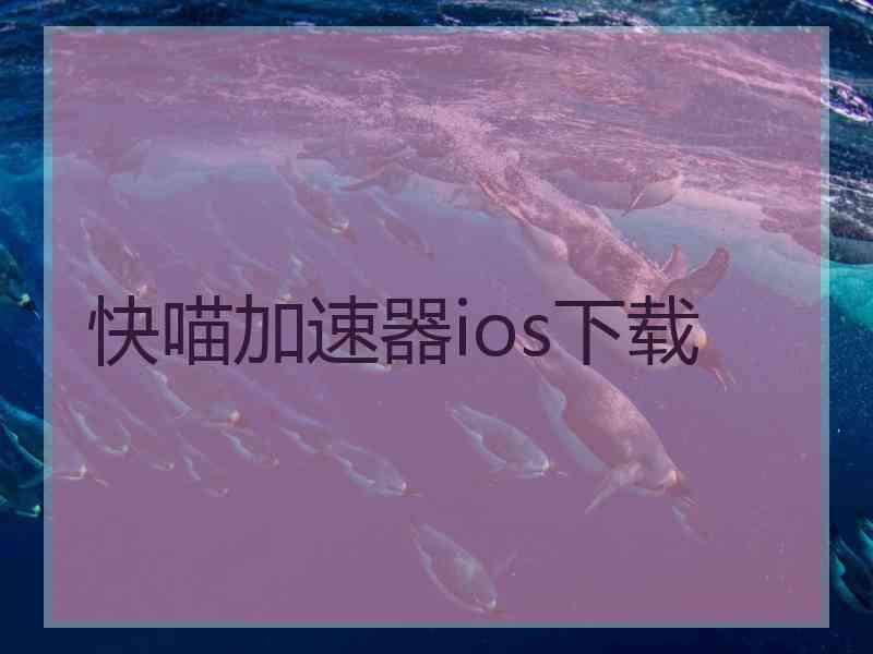 快喵加速器ios下载