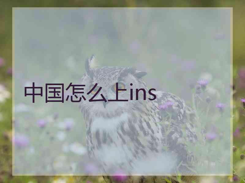 中国怎么上ins