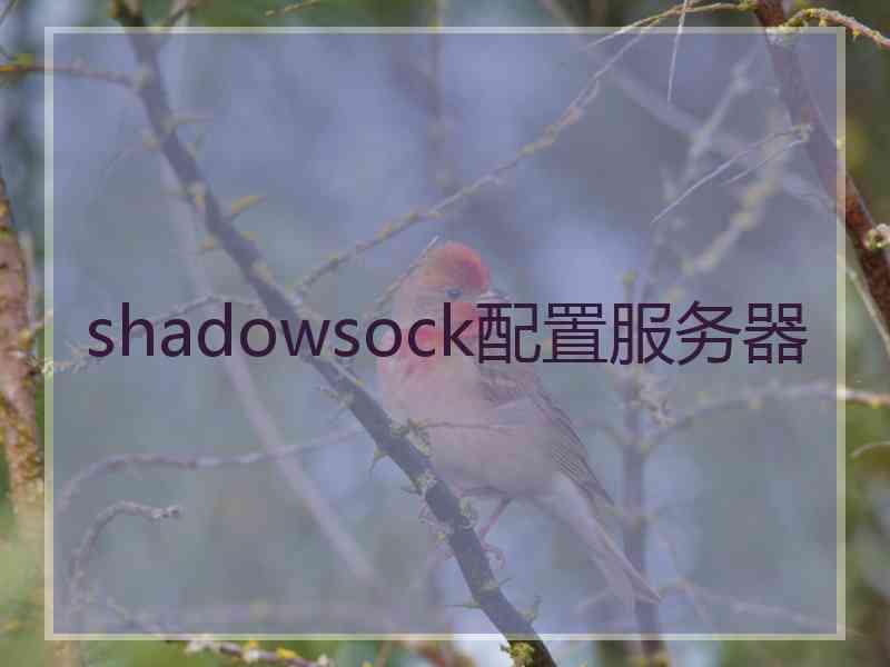 shadowsock配置服务器