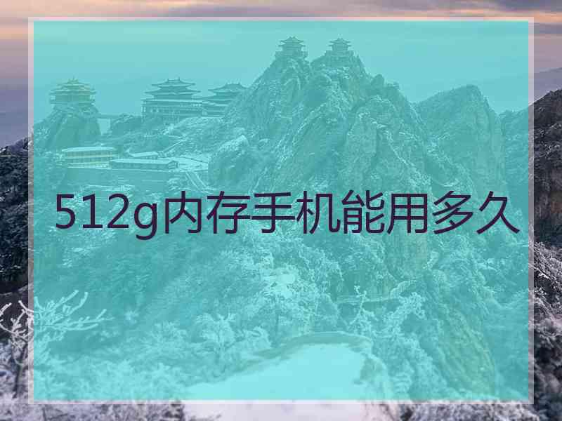 512g内存手机能用多久