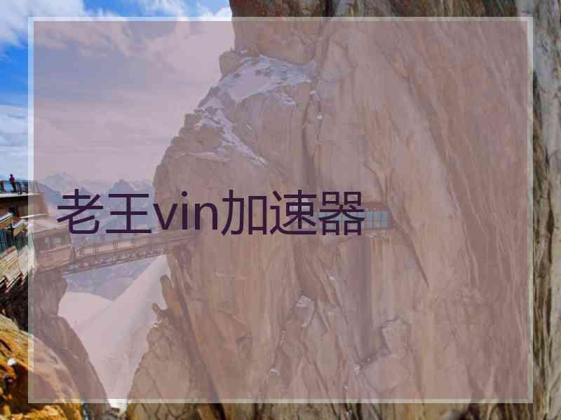 老王vin加速器