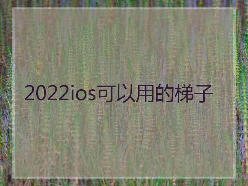 2022ios可以用的梯子