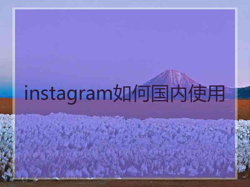 instagram如何国内使用