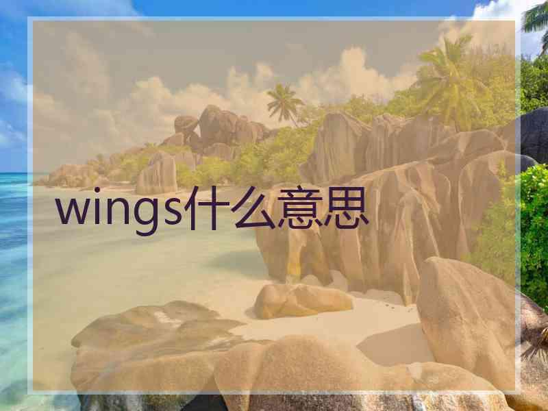 wings什么意思