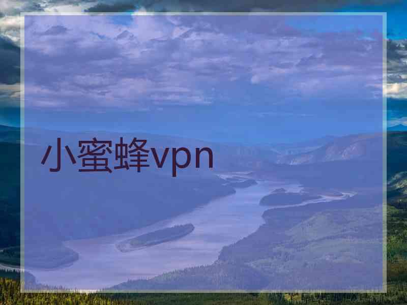 小蜜蜂vpn