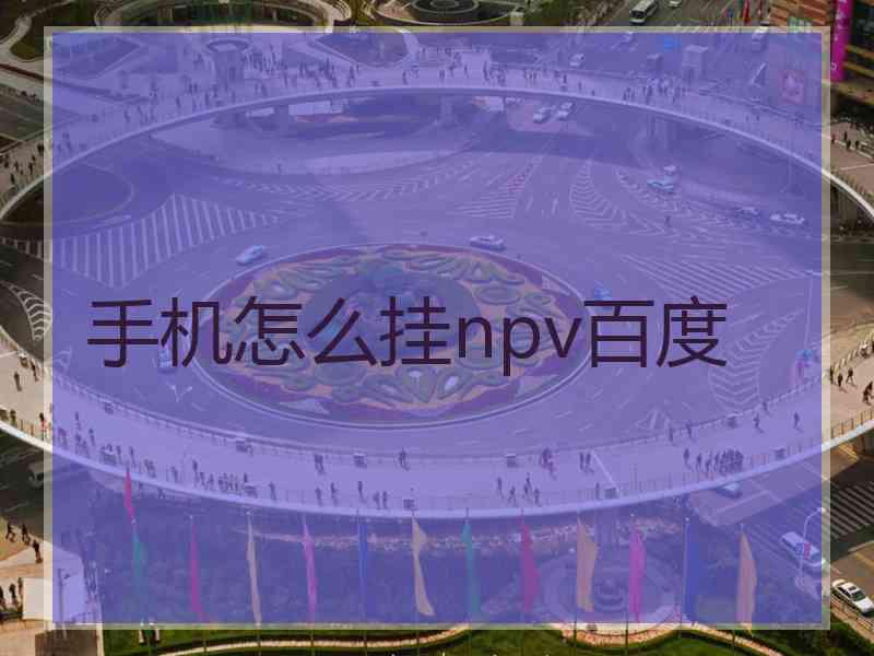 手机怎么挂npv百度