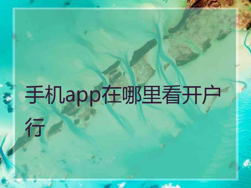 手机app在哪里看开户行