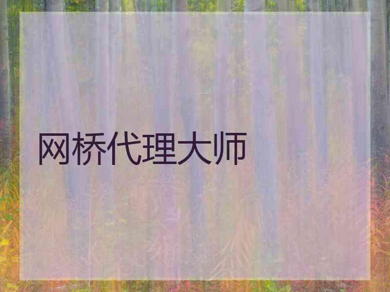 网桥代理大师