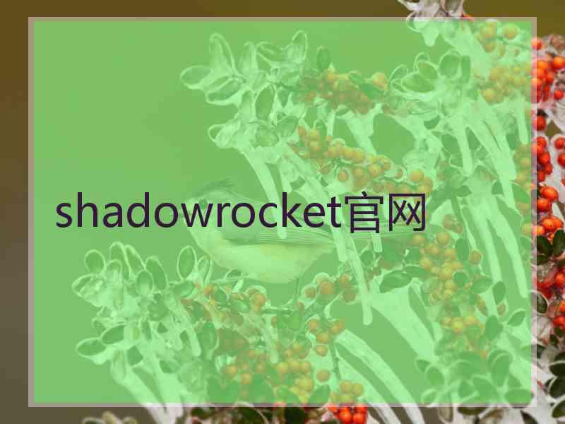 shadowrocket官网